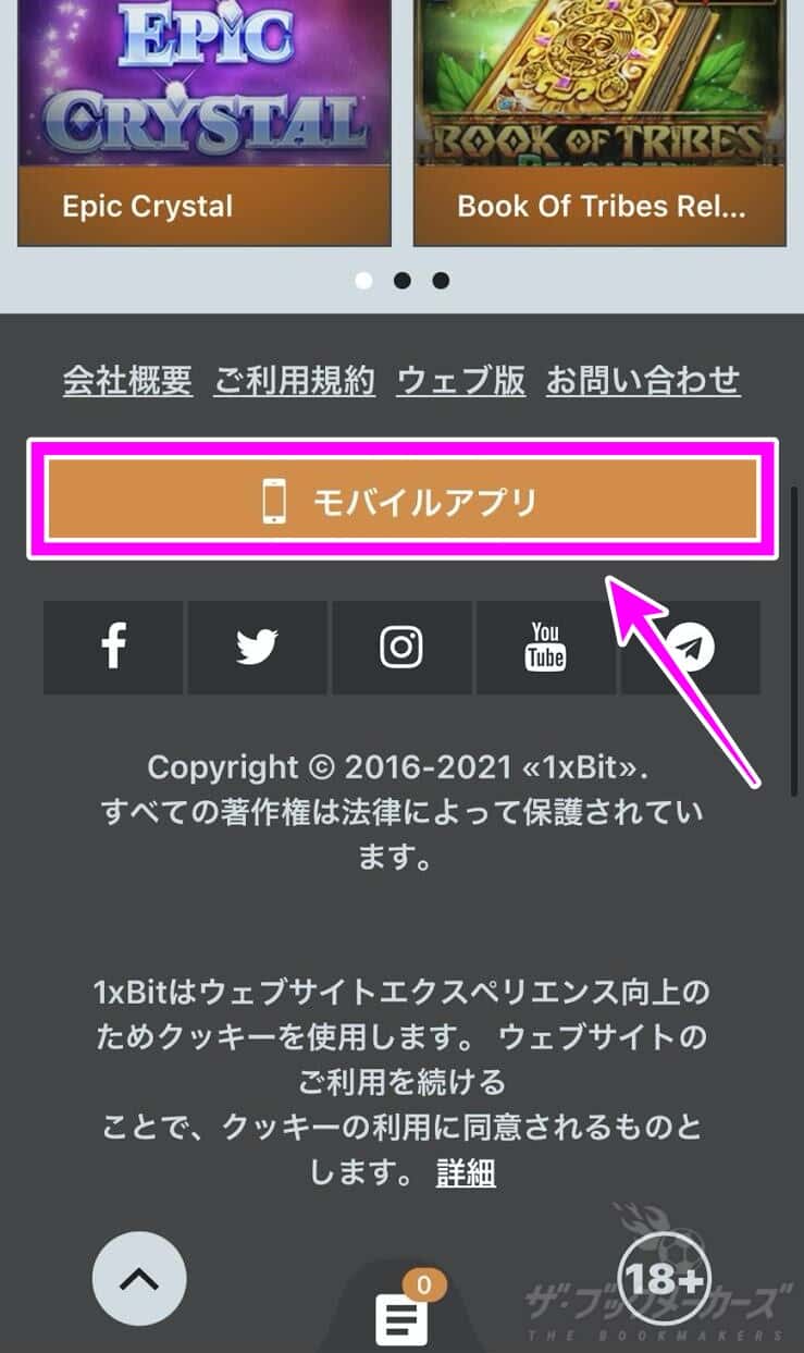 【1xBit】登録方法・入金・出金・ログイン・使い方ガイド！