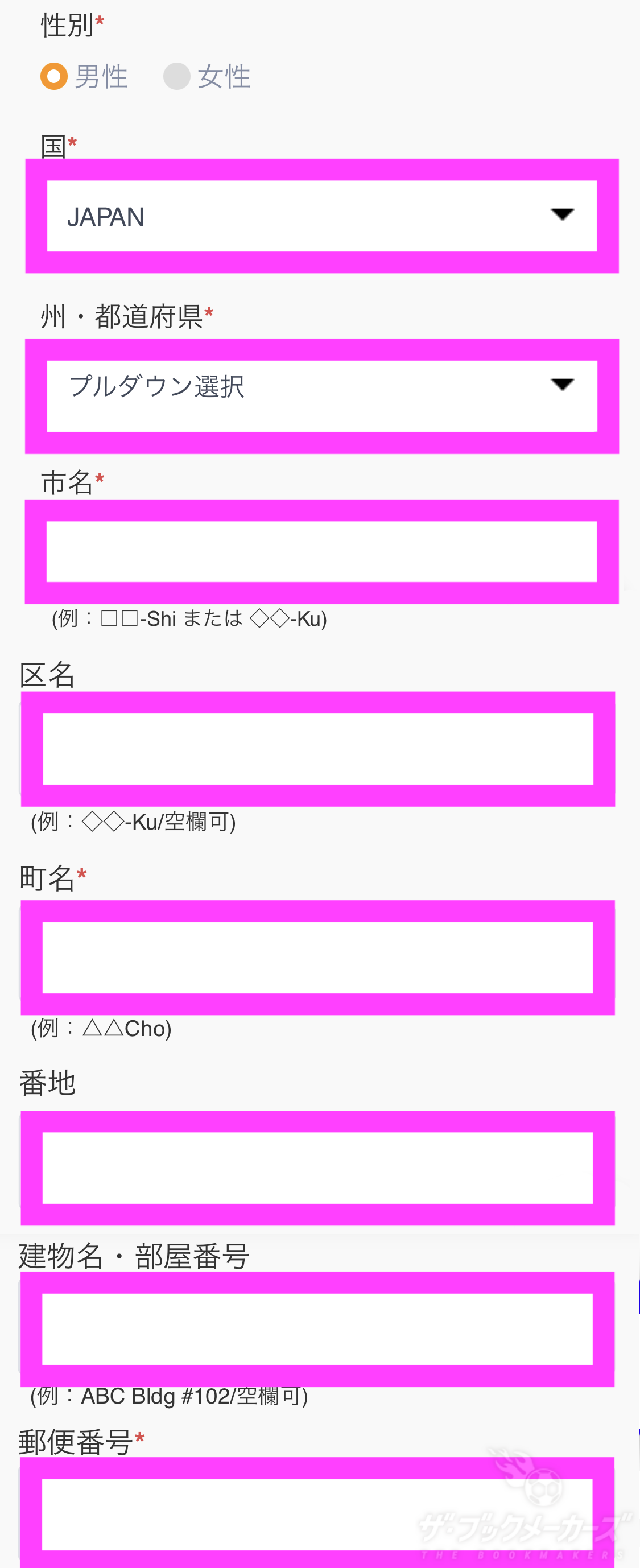 タイガーペイの本人確認、住所を入力