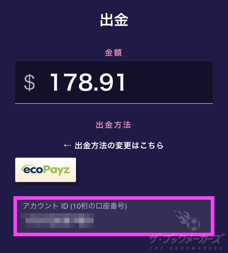 ギャンボラエコペイズ出金