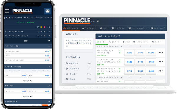 PINNACLE PCMobile画像